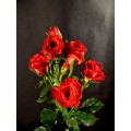 Spray Roses - Red Mikado